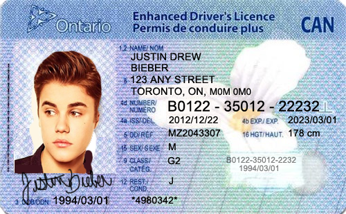 Drivers license psd free